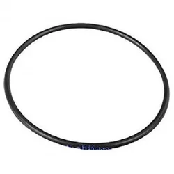 Intex gumica za rezervoar sf pumpe 10(rd) ( 11728 )