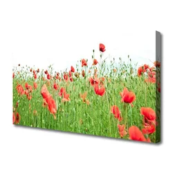 tulup.si Slika na platnu Rastlinskih mak naravi 100x50 cm