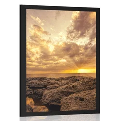 Plakat skale v morju - 40x60 silver