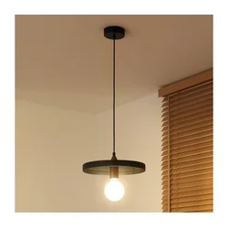Duolla - Luster na sajli IRONLINE 1xE27/15W/230V prečnik 30 cm crna/bakarna