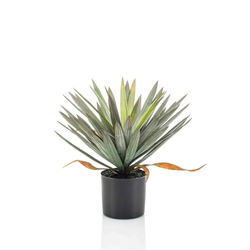 Umetna juka palma 48cm v lončku - zelena