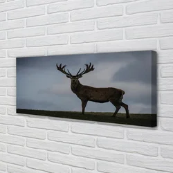 tulup.si Slika na platnu Jelen noč 140x70 cm