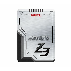 256GB 2.5 SATA3 SSD Zenith Z3 GZ25Z3-256GP