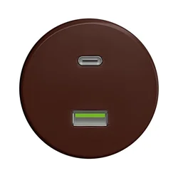 Kliklap - Starinska USB vtičnica A+C brez okvirja rjava