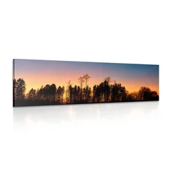 Slika temačni gozd - 135x45