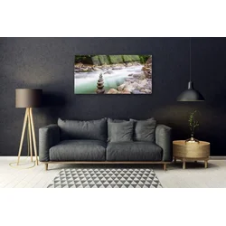 tulup.si Slika na akrilnem steklu Forest river stream gore 120x60 cm 2 obešalnika
