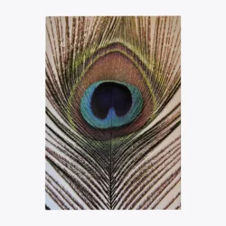 Royal Feather – stenska slika – 65 x 92,5 cm