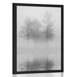 Plakat drevesa v megli v črnobeli varianti - 30x45 no frame