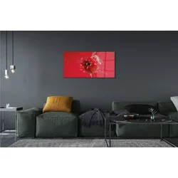 tulup.si Slika na steklu Poper voda 100x50 cm 2 obešalnika
