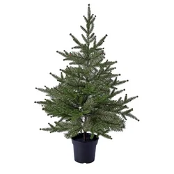 VINTERFINT Veštačka biljka u saksiji, unutra/spolja/jelka zelena, 15 cm