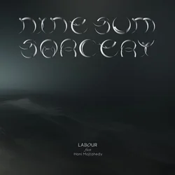 Labour & Hani Mojtahedy - Nine-sum Sorcery (LP)