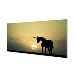 tulup.si Steklena slika Polje sunset samorog 120x60 cm 4 obešalnika
