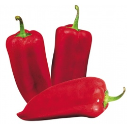 Rdeča paprika Kozji rog