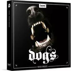 BOOM LIBRARY Dogs (Digitalni izdelek)