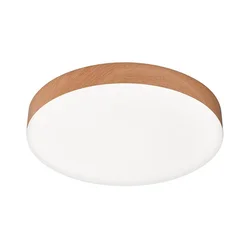 Top Light - LED plafonsko svetlo za kupatilo SPIRIT LED/24W/230V IP44, prečnik 30 cm, braon