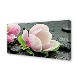 tulup.si Slika na platnu Magnolia kamni 125x50 cm