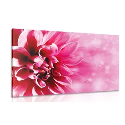 Slika cvet vrtnice - 40x30