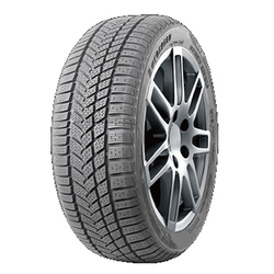 Autogreen Winter-Max A1-WL5 ( 255/40 R19 100V XL )