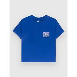 Quiksilver Standard T-Shirt surf the web