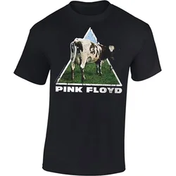 Pink Floyd Atom Heart S