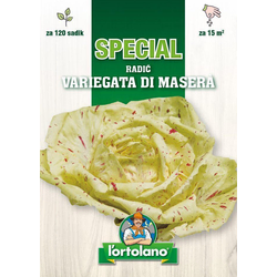 RADIČ VARIEGATA DI MASERA