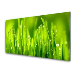 tulup.si Slika na steklu Green grass dew drops 120x60 cm 2 obešalnika