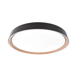 LED plafonsko svetlo ILVI sa prigušivačem LED/30W/230V 2700-6500K O 40 cm crna/bež + daljinski upravljač