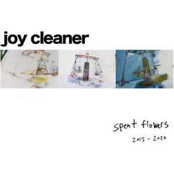 Joy Cleaner - Spent Flowers (LP)