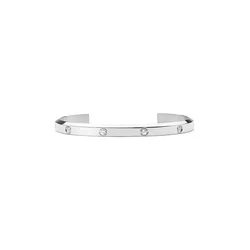 Zapestnica Daniel Wellington