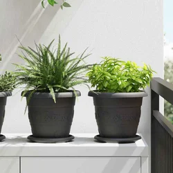 Kružni Pladanj za Cvijeće 6 pcs Crna O 17,5 x 2 cm Plastika