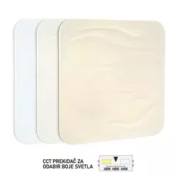 LED plafonjera LP-504-36X