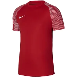 Jersey Nike Dri-FIT Academy