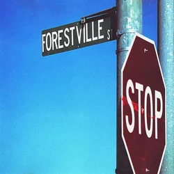 Bracket - 924 Forestville St. (LP)