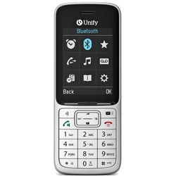 No Name Unify OpenScape DECT Telefon SL6 6,1 cm (2,4) 90 g Siva