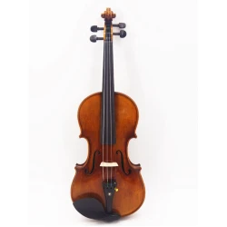 Violina 4/4 Model 5 Premium Basic Strings