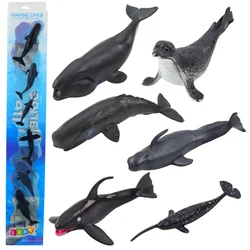 Set figuric morskih sesalcev 6-8cm - 6 elementov