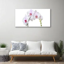 tulup.si Slika na steklu Orhideja orhideje 120x60 cm 2 obešalnika