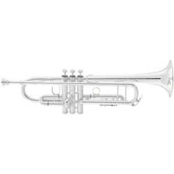 Trobenta 2055S Silver Flair King