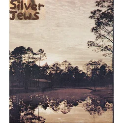 Silver Jews - Starlite Walker (Reissue) (LP)