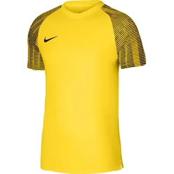 Jersey Nike Dri-FIT Academy
