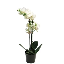 Dekordom Cvet u saksiji orchid 50cm 51344-0 - white - nnt ( 040063 )