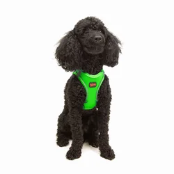 Paws & Whiskers Am za pse Air-Mesh, Zeleni