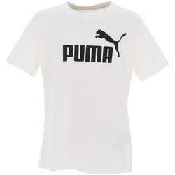 Puma  -  pisana