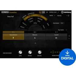 Steinberg Iconica Ensembles (Digitalni izdelek)
