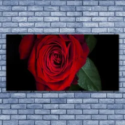 tulup.si Slika na platnu Rose na wall 100x50 cm
