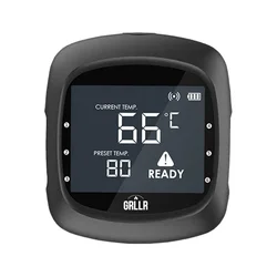 GRLLR Bluetooth termometer z dvema sondama