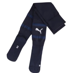 Nogavice Puma teamFINAL Socks