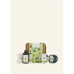 Rich & Creamy Avocado Big Gift