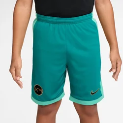 Nike KM K NK DF ACD25 SHORT, dječije hlače, zelena IO0719