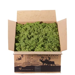 Dekorativna prirodna mahovina N70, 100g, Srednje zelena
